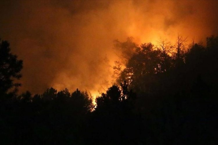 Sakarya'dan yangın b&ouml;lgelerindeki vatandaşlara destek
