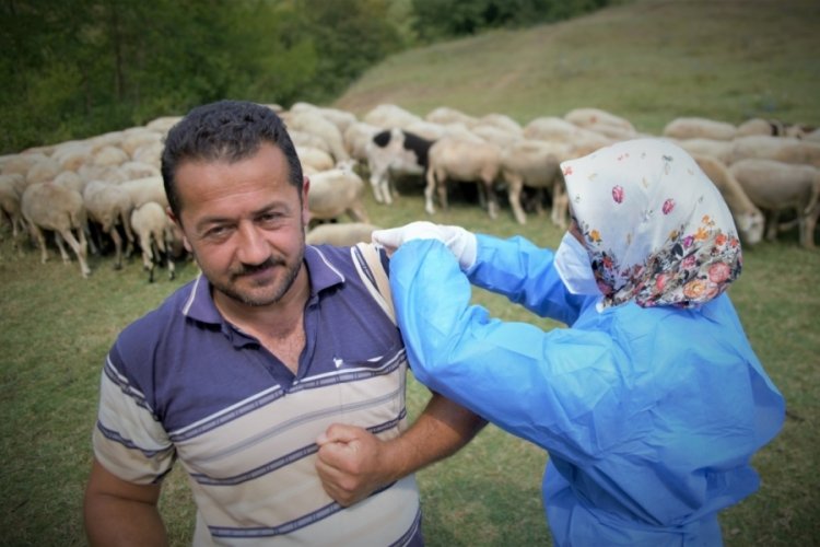 Bursa'da &ccedil;obanlar, koyun otlatırken Covid-19 aşısı oldu