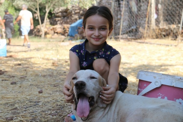 Muğla'da minik Merve'nin isteği ger&ccedil;ekleştirildi
