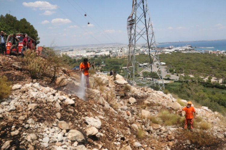 Antalya'da &ccedil;ıkan yangın ekipleri harekete ge&ccedil;irdi! 1 kişi g&ouml;zaltına alındı