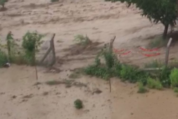 Malatya'da taşan dere seli beraberinde getirdi