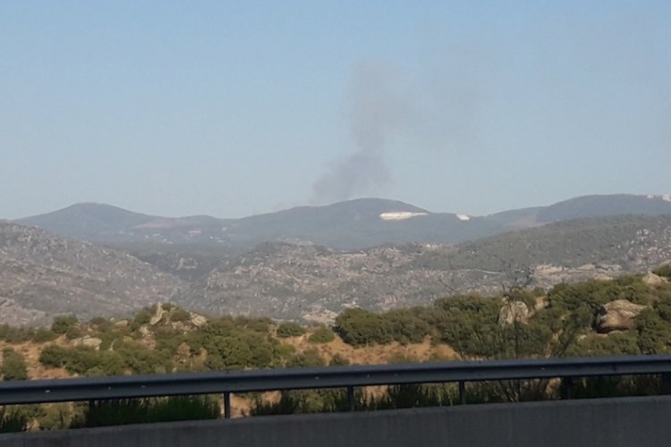 Muğla Kavaklıdere'de orman yangını