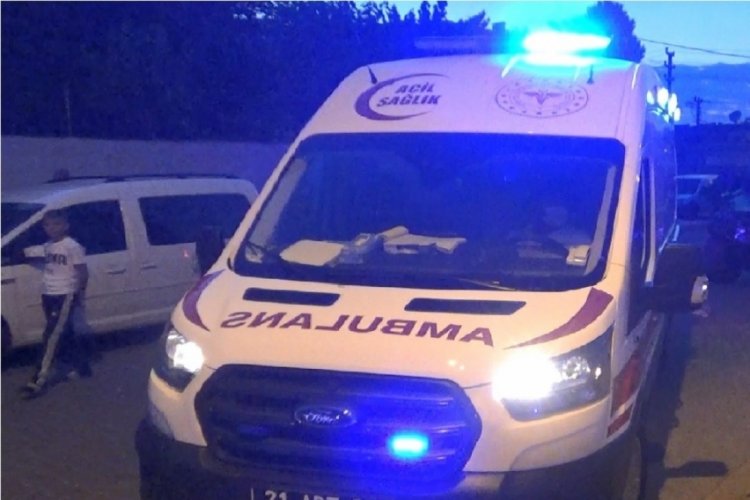 Diyarbakır'da hayvan otlatma kavgasında 2 kişi &ouml;ld&uuml;