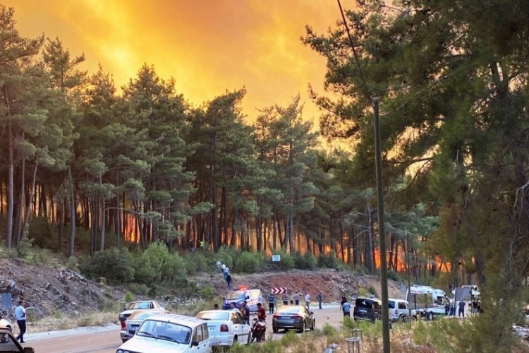 Muğla Kavaklıdere yangını kontrol altına alındı