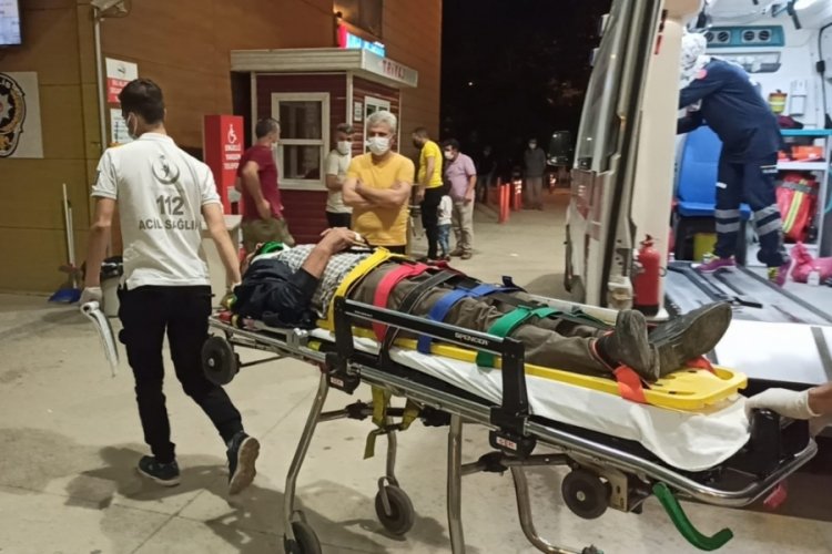 Bursa'da motosiklet domuz s&uuml;r&uuml;s&uuml;ne daldı! 1 yaralı