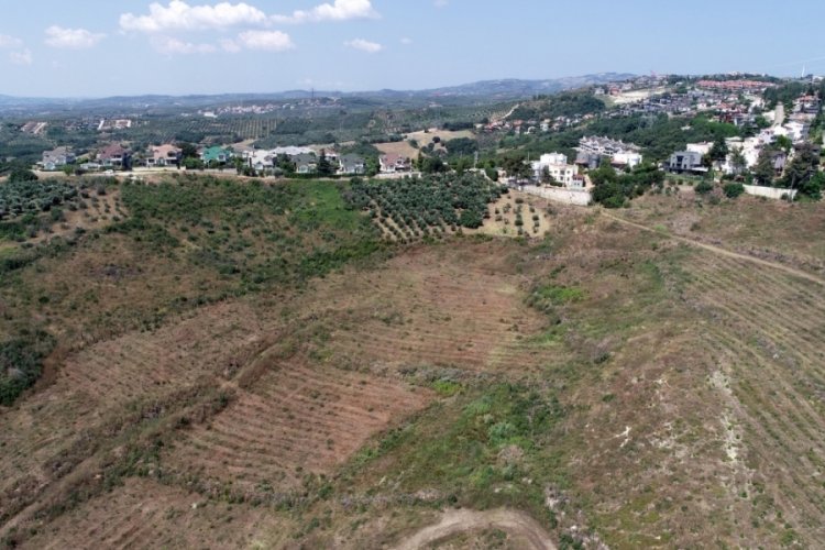 Bursa'da yanan 36 hektarlık alan yeniden ağa&ccedil;landırıldı