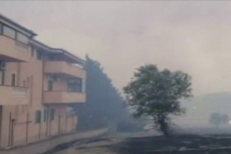 İtalya'da tabiat parkında yangın meydana geldi