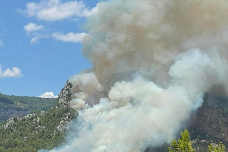 Alanya'da 2 yerde &ccedil;ıkan yangın s&ouml;nd&uuml;r&uuml;ld&uuml;