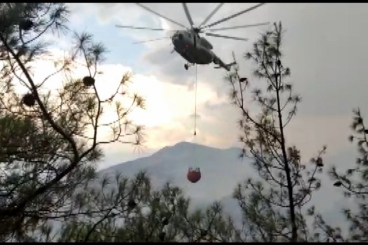 Kahramanmaraş'ta orman yangını: 3 hektar alan zarar g&ouml;rd&uuml;