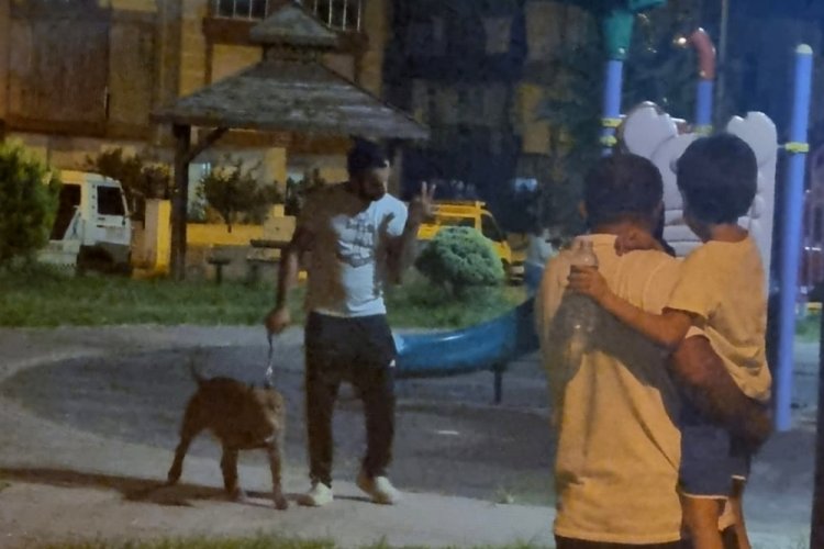 &Ccedil;ocuk parkında 2 pitbullun saldırısına uğradı!
