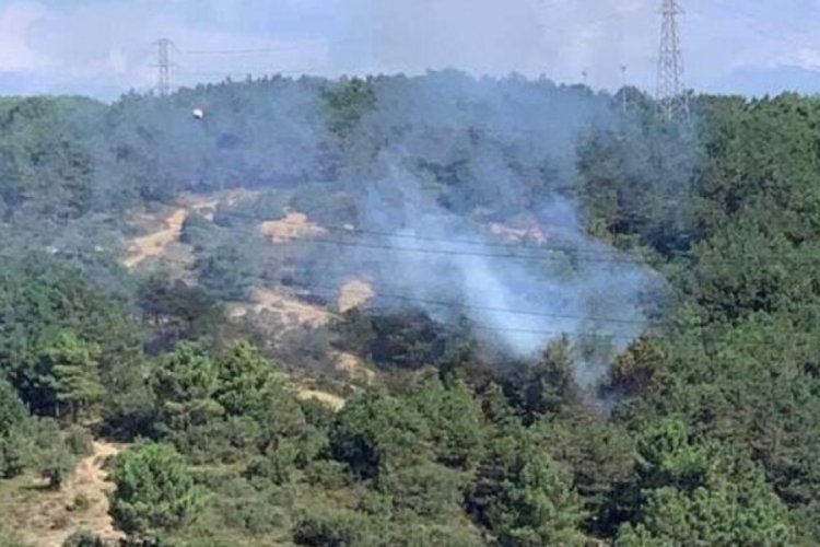 İstanbul Sultangazi'de ormanlık alanda yangın &ccedil;ıktı!