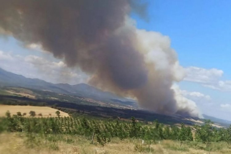 &Ccedil;anakkale'de yangın! Ormanlık alana sı&ccedil;radı