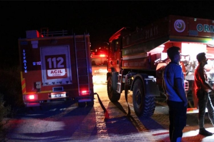 Hatay'da &ccedil;ıkan orman yangını kontrol altında