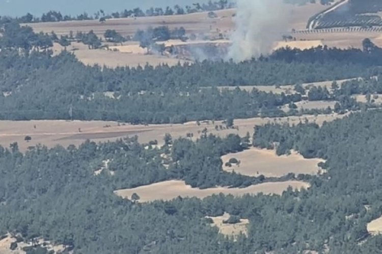 Orman yangınında canlı yayın yaparken helikopter &uuml;zerine su boşalttı
