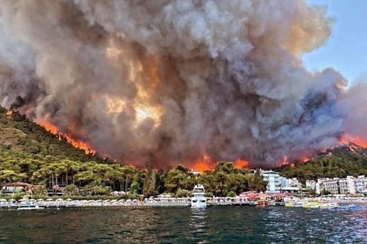 Orman yangınları 15 milyon ton karbondioksit emisyonuna sebep oldu