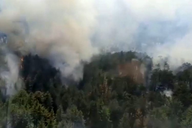 Antalya'da yine orman yangını &ccedil;ıktı!