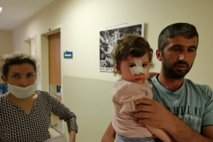 Bursa'da k&ouml;peğin saldırısına uğrayan &ccedil;ocuğu babası zor kurtardı