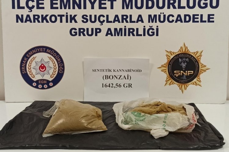 Şırnak'ta ka&ccedil;ak&ccedil;ılık ve asayiş operasyonu! 2 tutuklama