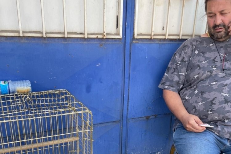 Beşevler K&uuml;&ccedil;&uuml;k Sanayi Sitesi'nde yuvasından u&ccedil;amayan yavru kargaları besliyorlar