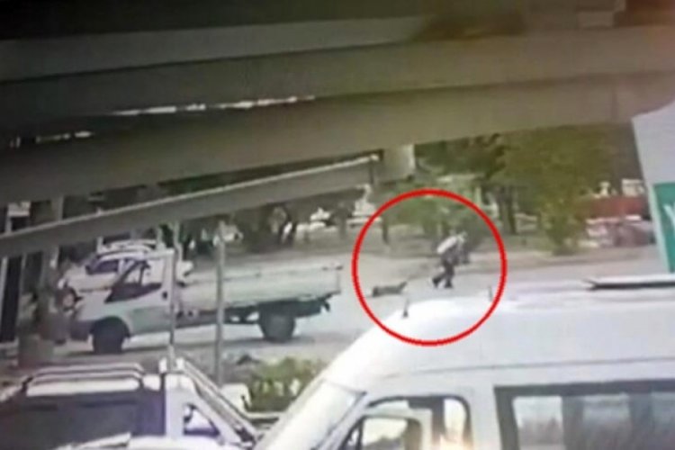 İzmir'de ayakları bağlanıp s&uuml;r&uuml;klenen k&ouml;pek &ouml;ld&uuml;!