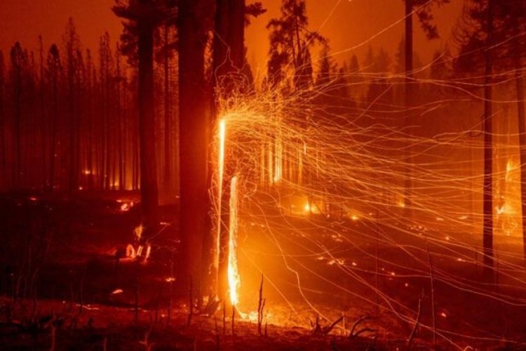 California'da orman yangınları 50 bin kişiyi karanlığa g&ouml;md&uuml;!