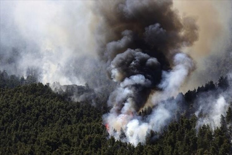 Yunanistan'daki orman yangınlarında 80-90 bin d&ouml;n&uuml;m arazi k&uuml;l oldu