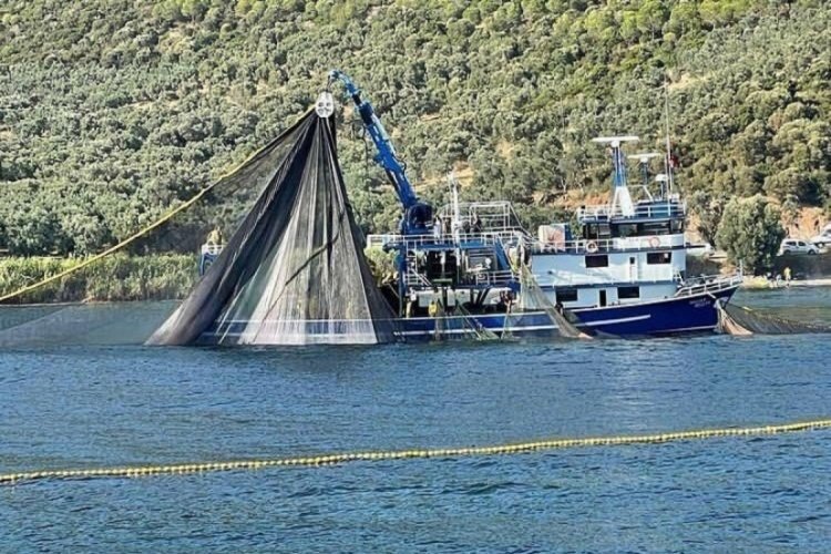 Bursa'da balıkçılar deneme ağlarını attı