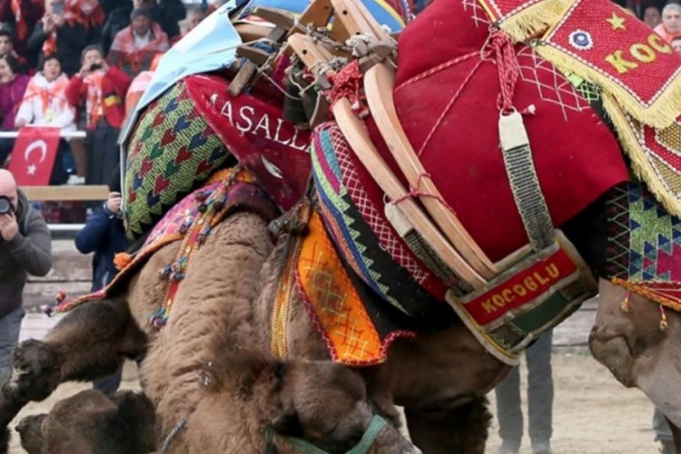 Koronavir&uuml;s aşısı olmayanı kabul etmeyecekler!