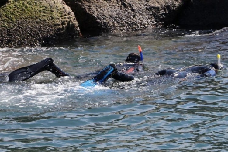 Bozkurt'taki sel kayıpları Karadeniz'de dalgı&ccedil;larla aranıyor