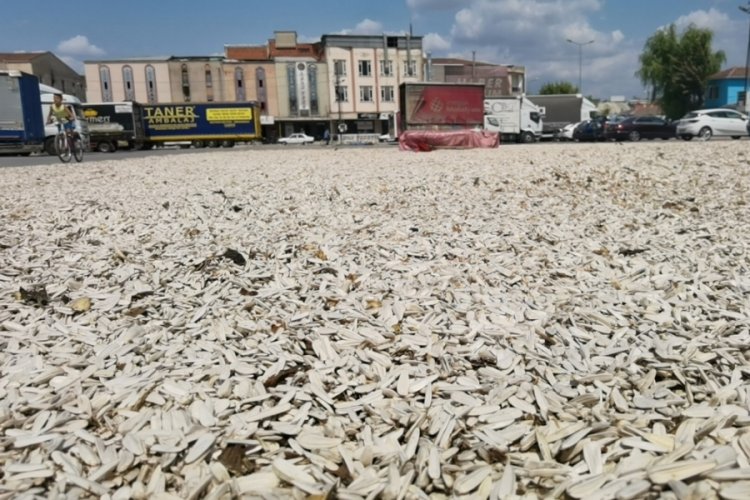 Bursa'da tescilli 'İneg&ouml;l Alası' hasadı sancılı başladı