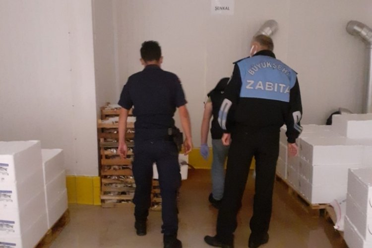 İstanbul'da yasak avlanan balık&ccedil;ının yarım ton balığına el konuldu