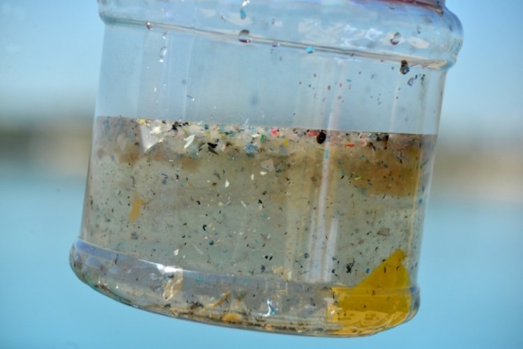 Karadeniz'de 'mikroplastik' tehlikesi