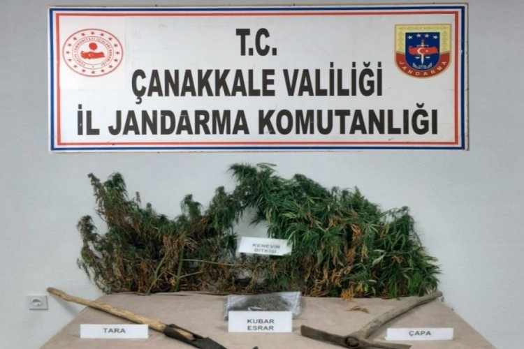 &Ccedil;anakkale'de uyuşturucu operasyonu!