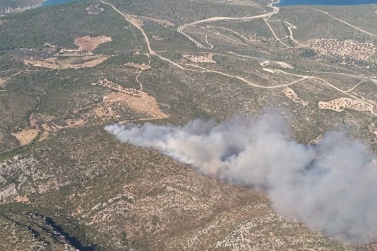 İzmir'deki yangınlar kontrol altına alındı