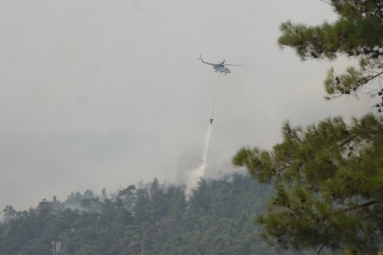K&ouml;yceğiz yangını kontrol altına alındı