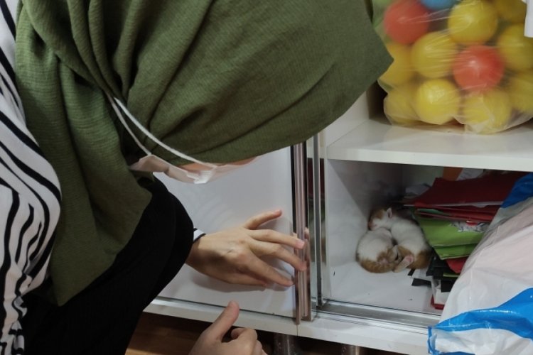 Bursa'da &ouml;ğretmenler odasının dolabını a&ccedil;ınca şaşkına d&ouml;nd&uuml;ler