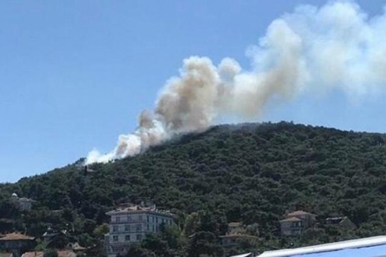Heybeliada'da ormanlık alanda yangın
