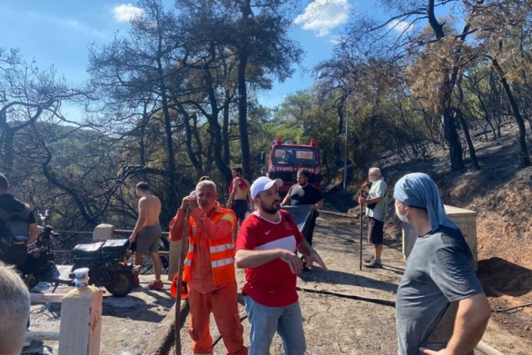 Heybeliada'daki yangına m&uuml;dahale i&ccedil;in insan zinciri