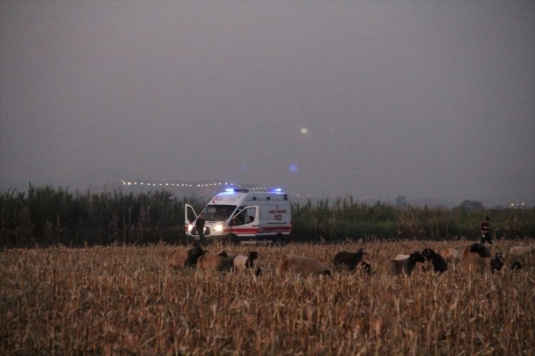 Hatay'da &ccedil;obanlar arasında &ouml;l&uuml;ml&uuml; kavga