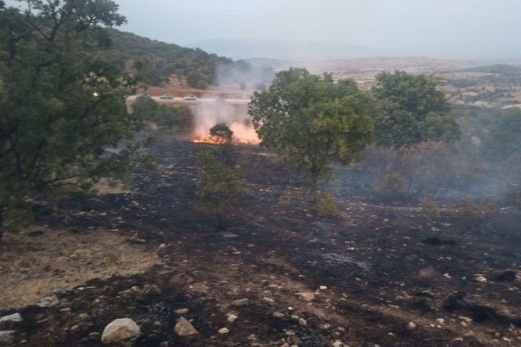 Uşak'ta &ccedil;ıkan orman yangını 3 saatte s&ouml;nd&uuml;r&uuml;ld&uuml;