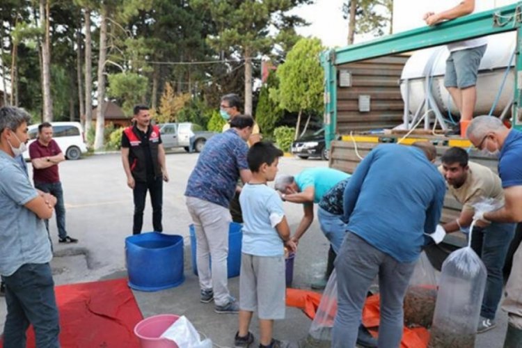 Eskişehir'de binlerce sazan su kaynaklarına bırakıldı