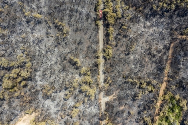 Heybeliada'da yangının tahribatı g&ouml;ky&uuml;z&uuml;nden g&ouml;r&uuml;nt&uuml;lendi