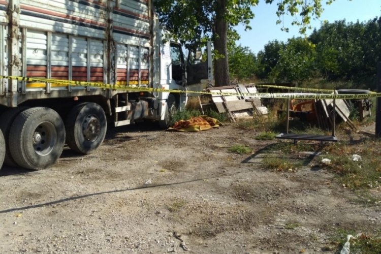 Kamyon s&uuml;r&uuml;c&uuml;s&uuml;, aracının yanında &ouml;l&uuml; bulundu