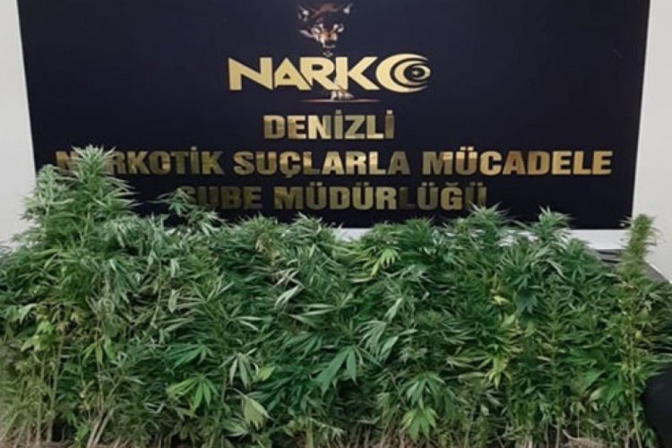 Denizli'de uyuşturucu operasyonu! 13 g&ouml;zaltı