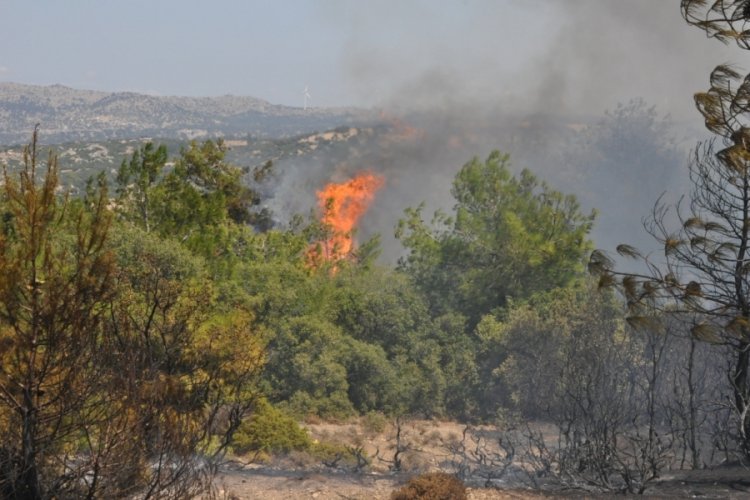&Ccedil;anakkale'de orman yangını &ccedil;ıktı