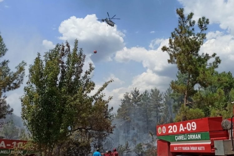 Denizli'deki orman yangını kontrol altına alındı