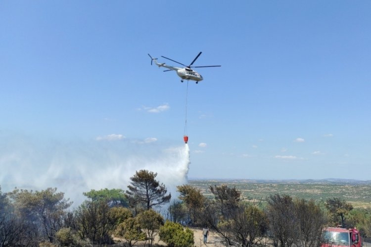 &Ccedil;anakkale'deki orman yangını kontrol altında