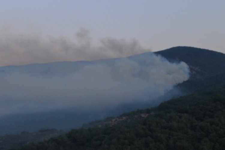 Kazdağları'ndaki yangın s&ouml;nd&uuml;rme &ccedil;alışmaları devam ediyor