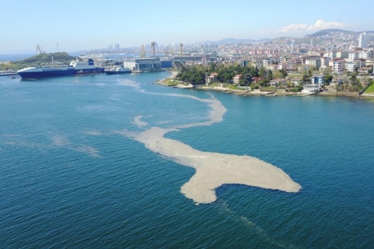 TBMM'ye, Marmara Denizi'ni kurtaracak iki ayrı rapor sunuldu