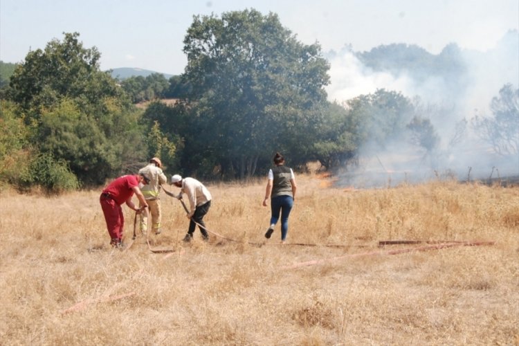 &Ccedil;anakkale'de ormanlık alanda &ccedil;ıkan yangın kontrol altına alındı